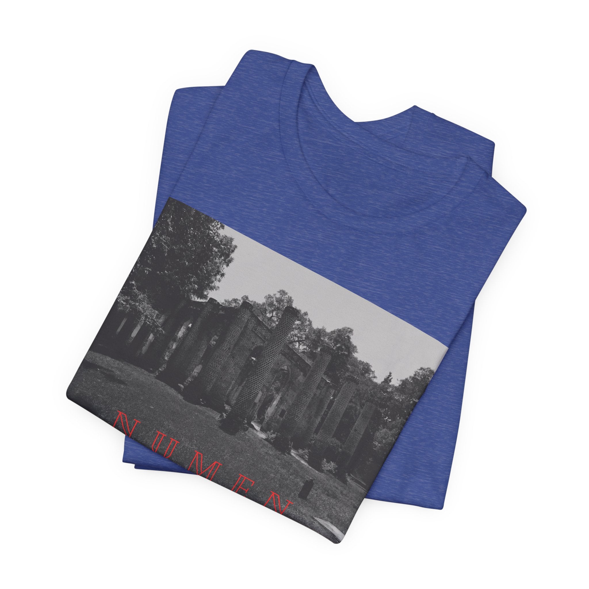 NUMEN Latin "Divine Power" Tee