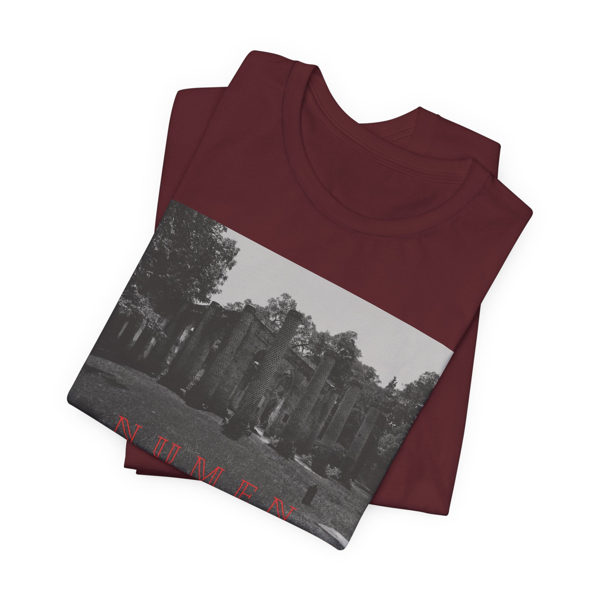 NUMEN Latin "Divine Power" Tee