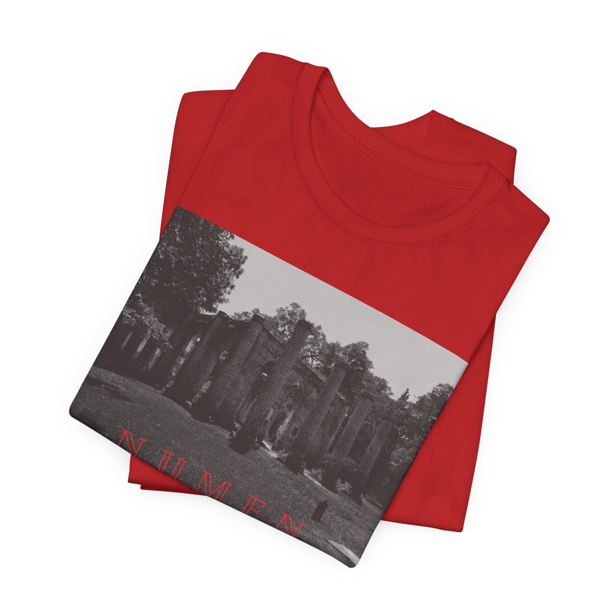 NUMEN Latin "Divine Power" Tee